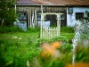 IMG_0975