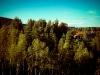 IMAG0004