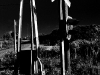 IMAG0009