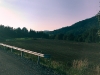 IMAG0010
