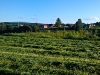 IMAG0013